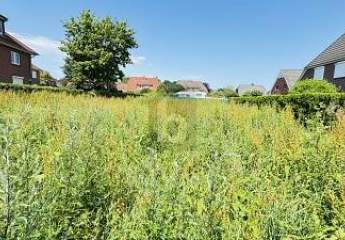 431694-Vorschaubild2