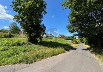 432309-Vorschaubild2