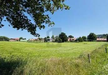 431464-Vorschaubild2