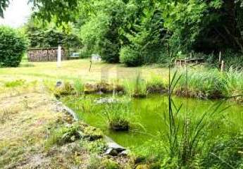 NATUR PUR  ENTSPANNUNG ZUHAUSE