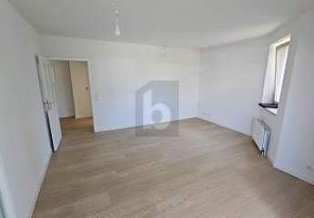432783-Vorschaubild3