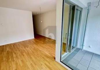 438428-Vorschaubild4