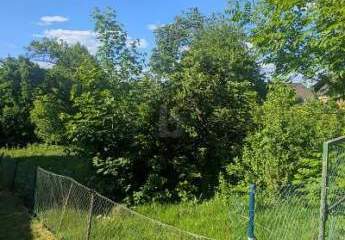 437292-Vorschaubild2