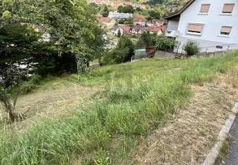 436604-Vorschaubild2
