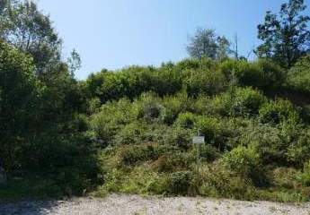 439461-Vorschaubild2