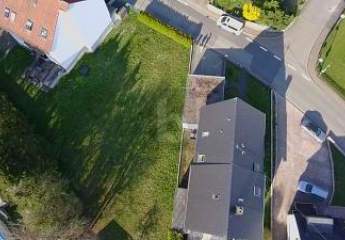441519-Vorschaubild2