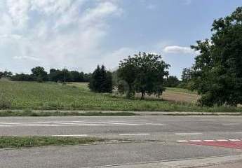 440516-Vorschaubild3