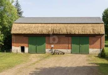 443033-Vorschaubild2
