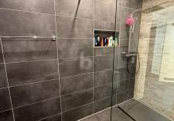 441782-Vorschaubild2