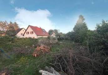 441733-Vorschaubild2