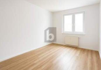 443029-Vorschaubild2