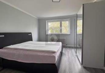 444258-Vorschaubild3