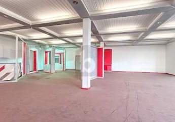450339-Vorschaubild2