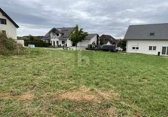 448480-Vorschaubild2