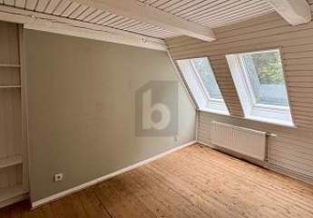450226-Vorschaubild3