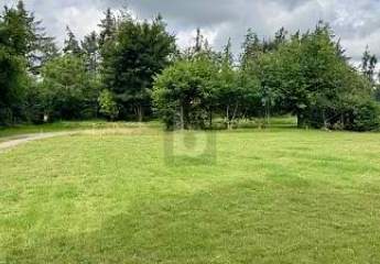 447530-Vorschaubild2