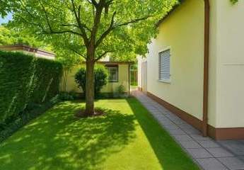 451559-Vorschaubild3