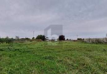 451641-Vorschaubild2