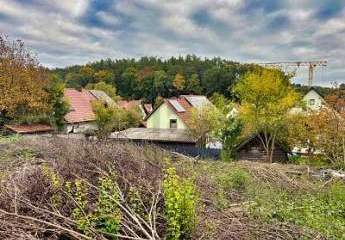 451666-Vorschaubild4