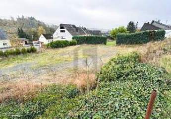 452350-Vorschaubild2
