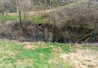 452624-Vorschaubild2