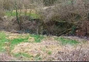 452624-Vorschaubild3