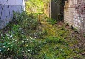 449138-Vorschaubild2