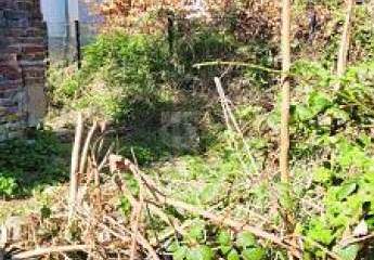 449138-Vorschaubild3