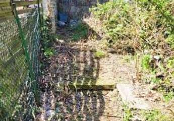 449138-Vorschaubild4