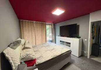 449897-Vorschaubild3