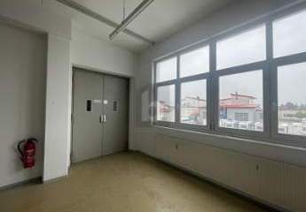 450781-Vorschaubild4