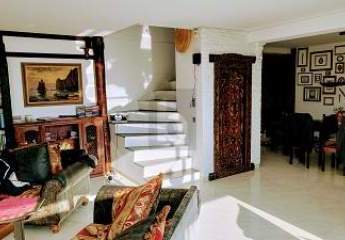 449519-Vorschaubild3