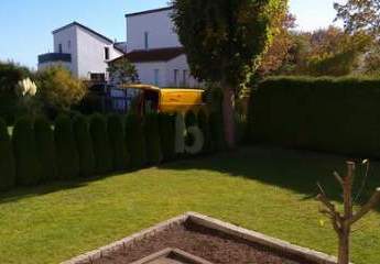 451441-Vorschaubild3