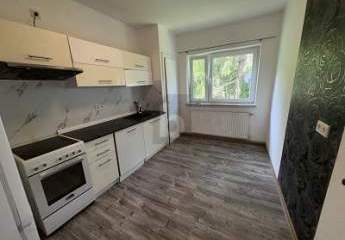 450135-Vorschaubild2