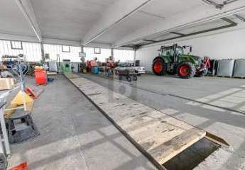 451702-Vorschaubild3