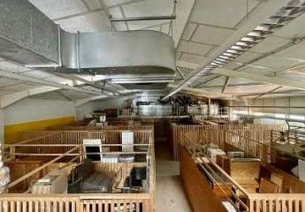 451711-Vorschaubild3