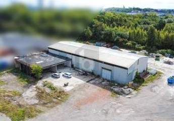 451717-Vorschaubild3