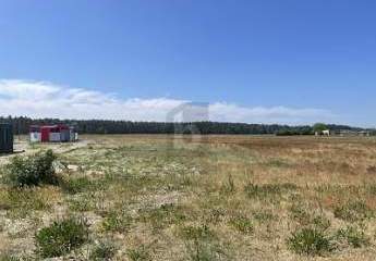 453370-Vorschaubild2