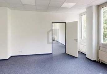 450909-Vorschaubild3