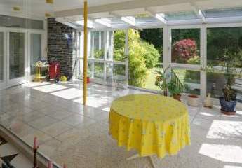 453986-Vorschaubild3