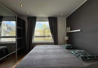 452334-Vorschaubild3