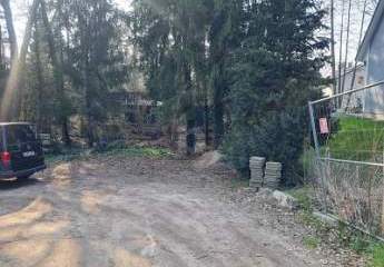 453841-Vorschaubild2