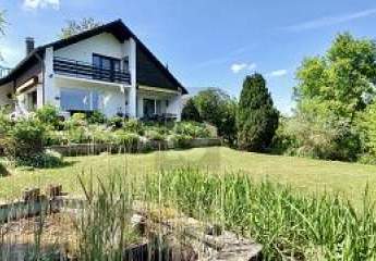 454010-Vorschaubild2