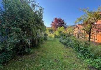 454046-Vorschaubild3