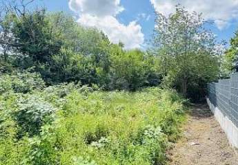 RAUM FÜR PERSPEKTIVEN IM HERZEN DER ELBINSEL