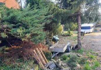 453841-Vorschaubild3