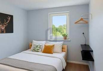 450962-Vorschaubild2