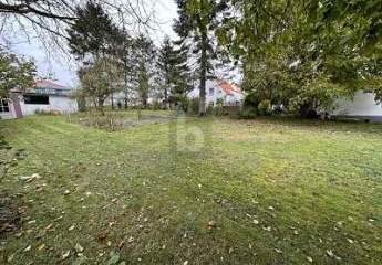 453874-Vorschaubild3