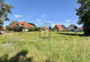 454258-Vorschaubild2