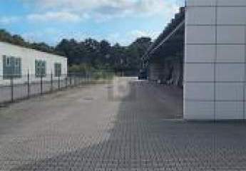 451732-Vorschaubild3